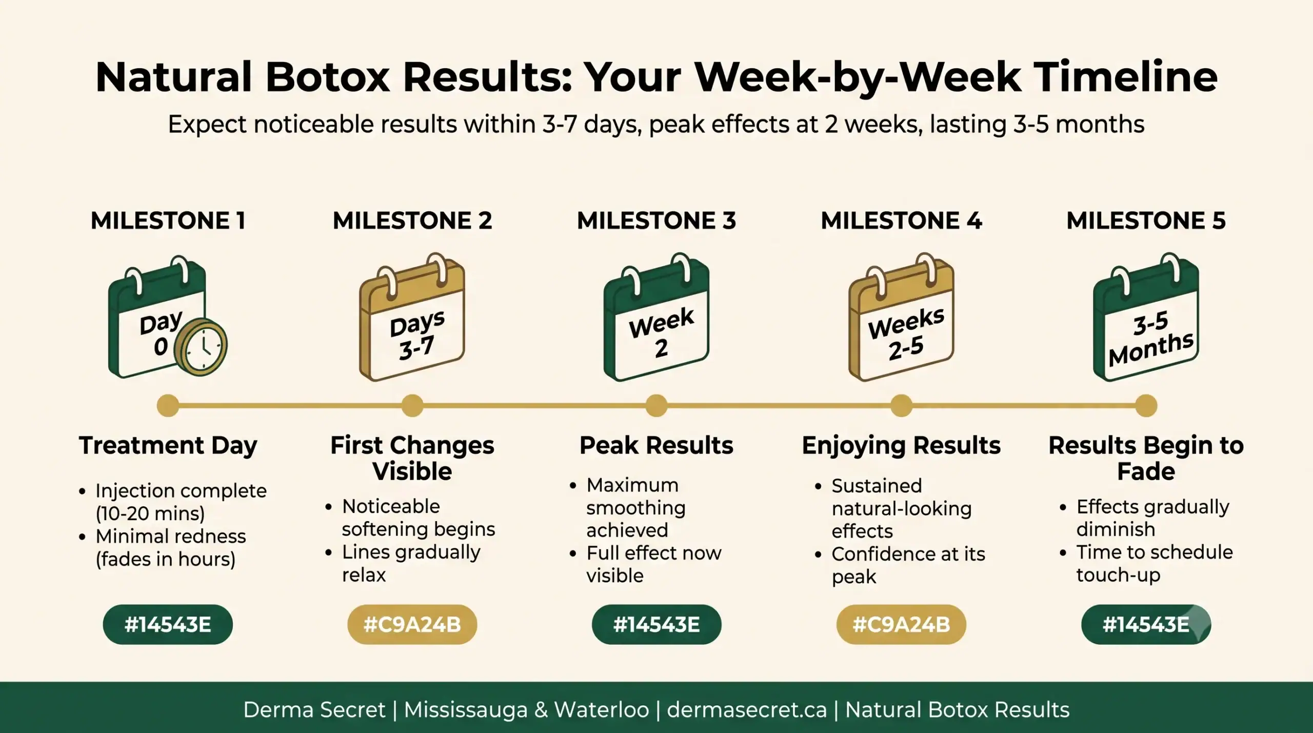 Achieve Natural Botox Results: The Ultimate 2026 Guide to Safe, Personalized Care 2 Week-by-week timeline infographic of natural Botox results: from treatment day through recovery and lasting effects at Derma Secret